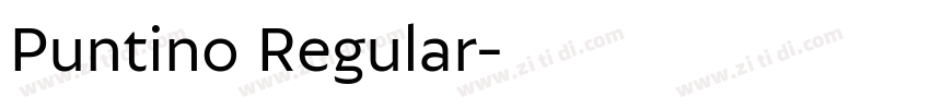 Puntino Regular字体转换